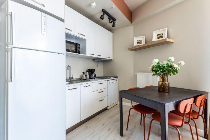 A minimalist American-style kitchen with stainless steel appliances and chic decor.