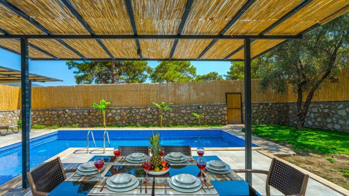 Villa in Patara with Pool, Jacuzzi and Garden