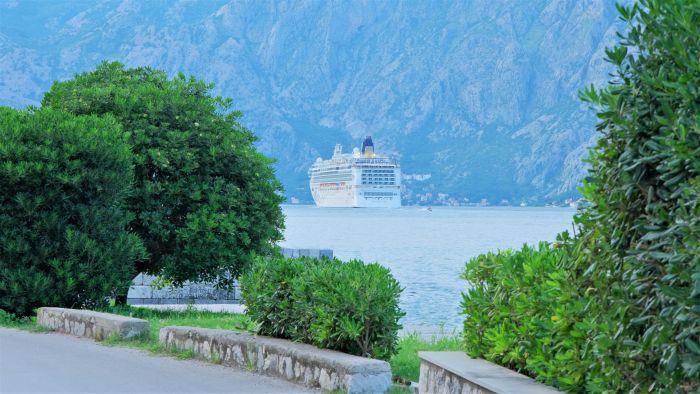 Nature View Cozy Flat 1 min to Sea in Kotor
