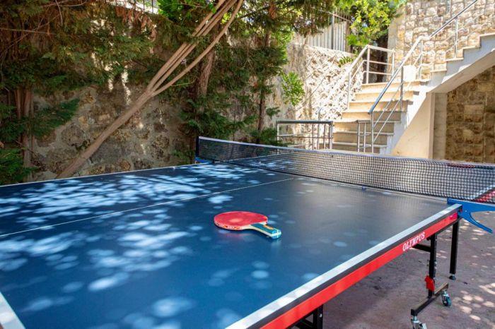 How about a fun table tennis tournament between friends?