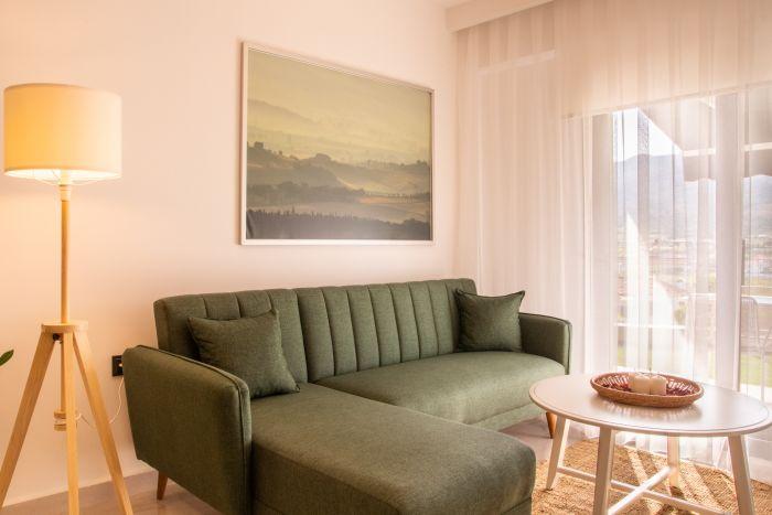 The green comfy sofa is at your disposal during your stay.
