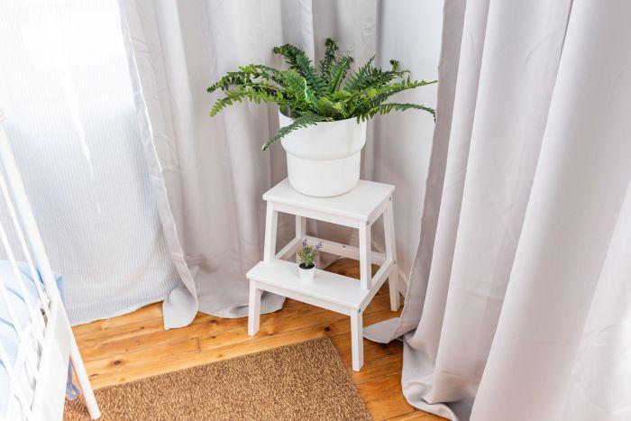 Plants are everywhere in this apartment - perfect if you love green!