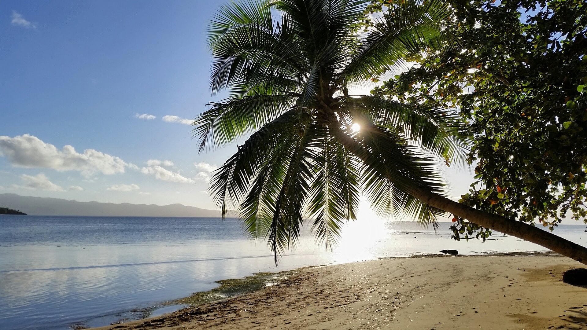 Vizesiz ülkeler - Fiji