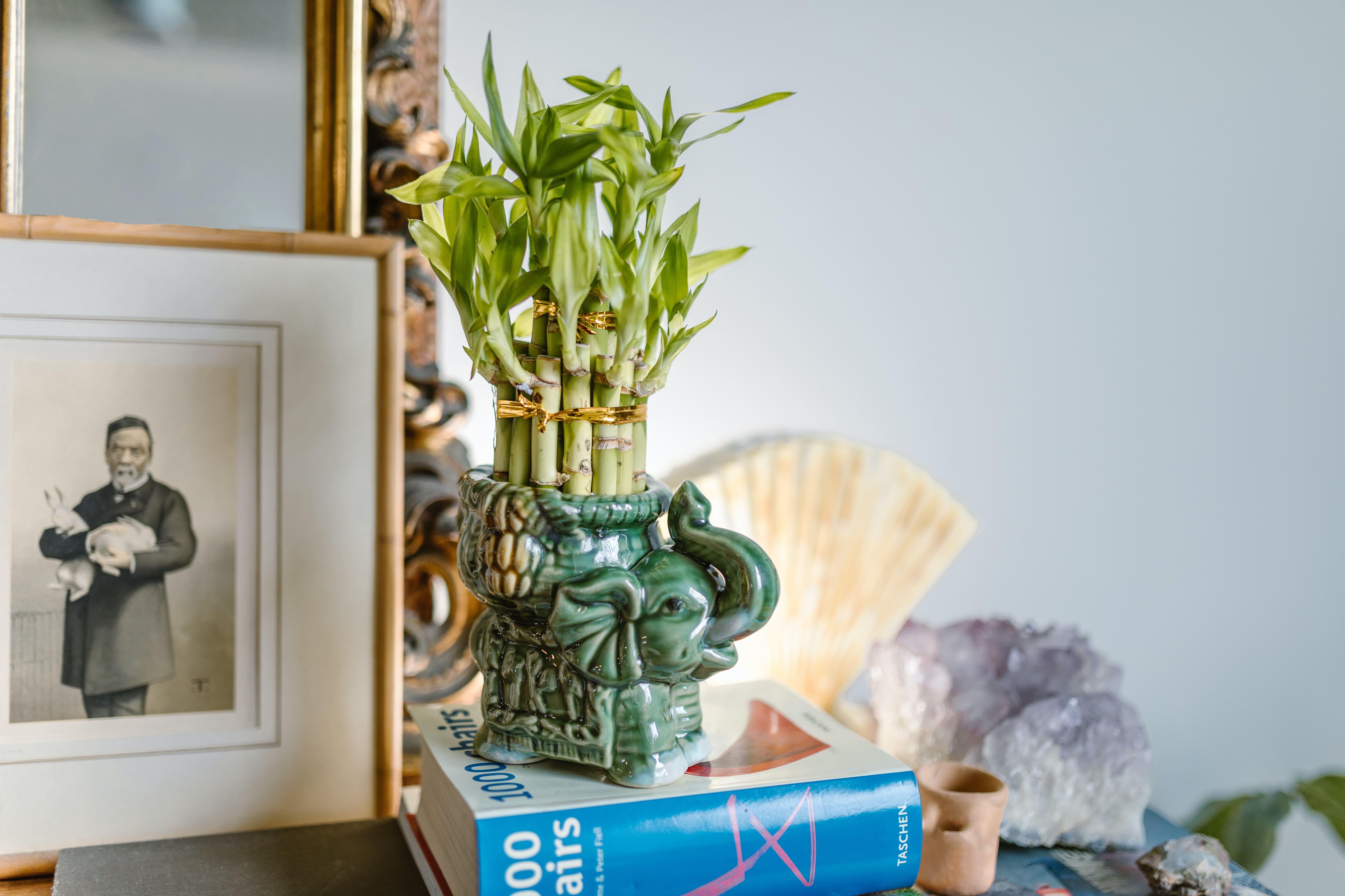 What is Feng Shui? Feng Shui Decoration Ideas