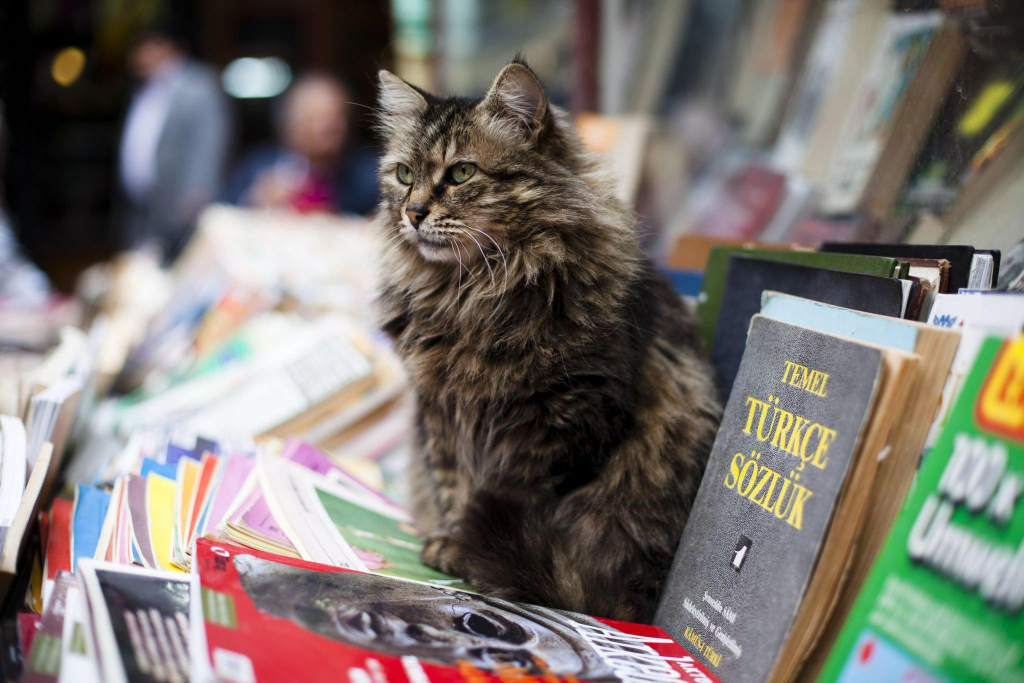 booksellers2 bazaar grand bazaar istanbul