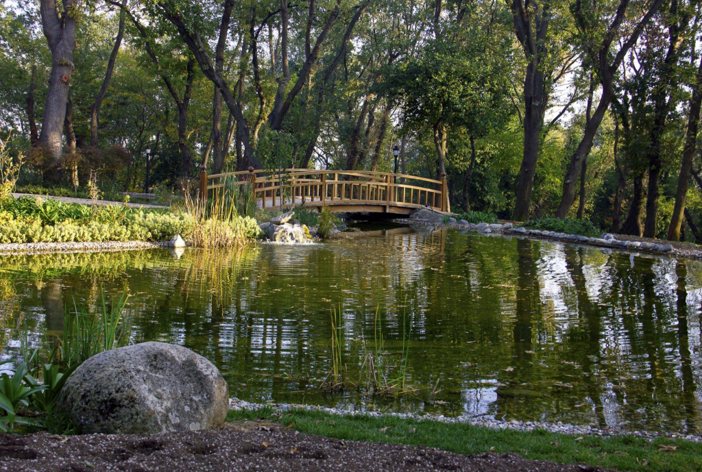 emirgan korusu istanbul'un doğal güzellikleri