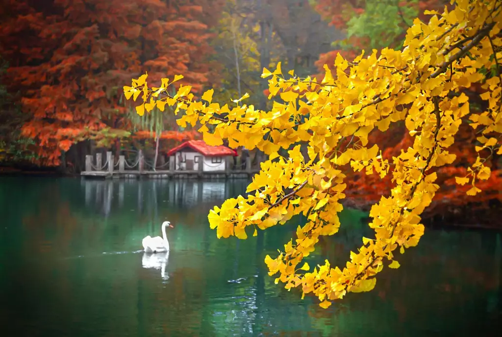 istanbul parks ataturk arboretum